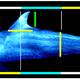 Illustration for article titled 15 Uncanny Examples of the Golden Ratio in Nature